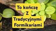 Jak to się uda to wymieniam wszystkie formikaria na takie 