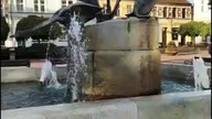 Łabędź