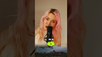 Ile lwów znalazłeś?