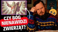 Dlaczego zwierzęta cierpią?  Pytania Ateisty