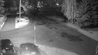 Kompromitacja straży miejskiej w Brzeszczu - ukradli pod ich okiem auto