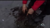 Man. vs. Wild. s04e05. Alaska. 720p