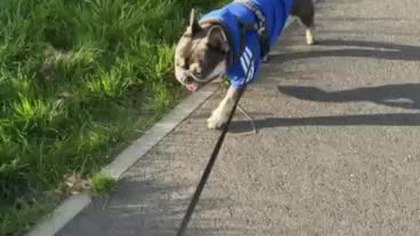 f59acfc3-3fe4-4526-9622-cf7fa70b7759