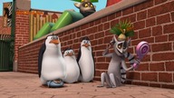 Pingwiny z Madagaskaru - SE02E52 Mały Ptaszek - Boa Mściciel