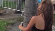 Pijana laska zabawia sie z drzewem