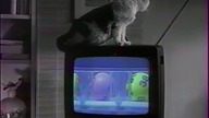 20.  Zakończenie do Kryształowa kolekcja filmowa 10 - Kopciuszek