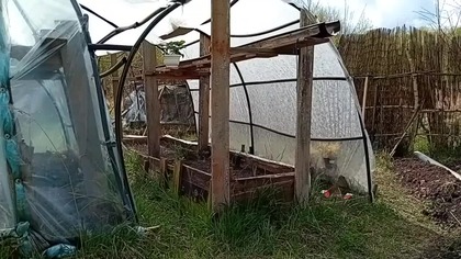 Kolejne prace na siedlisku, buduję oczko wodne w przerwie przy budowie gołębnika