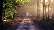 The Dziemians - Wiosną jesteś Ty