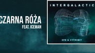 SPR & Cytrobit - Czarna Róża feat.  Iceman