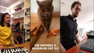 The Kiffness X Alugalug Cat 2. 0 X MultiDavid (Please Go Away) piano guitar voc