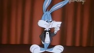 Przygody Animk&oacute;w: Animaniacy (1990) Dubbing PL