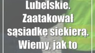 Lubelskie.  Zaatakował sąsiadkę siekierą.  Wiemy, jak to tłumaczył