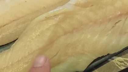 który Dorsz będzie lepszy czarniak czy atlantycki?