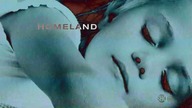 Homeland. S01E11.pl Lektor PL