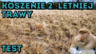 Na Działce! Vlog odc. 66 Pierwsze Koszenie 2 letniego Trawnika Kosiarką Spalinową #MajsterAmator