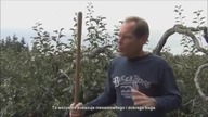 Paul Gautschi back to eden - ogrodnictwo 1