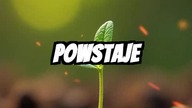 Zasiej Swoje Marzenia i Rozkwitnij Jak Potężna Dynia!