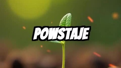 Z małego nasionka do wielkiej potęgi!  Odkryj, jak przekształcić krytykę w siłę! #rozwój
