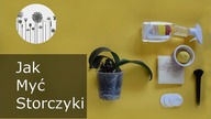 Pielęgnacja storczyka. Jak myć liście storczyk&oacute;w?