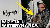 POZNAJCIE IMIĘ NASZEJ KOTKI! Czy pasuje do niej?