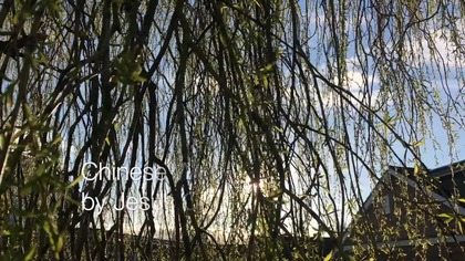 Chinese Woman Saved by Jesus Christ