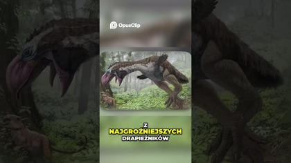 Ptaki Grozy Tajemnice Forus Racidae i ich Historia