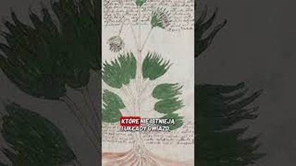 Czy słyszałeś o rękopisie Wojnicza? #tajemnice #zagadki