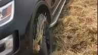Uwięziony SUV powoduje pożar