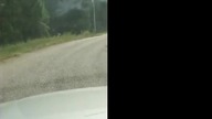 Kiedy chcesz pomóc ojcu przy koszeniu trawy