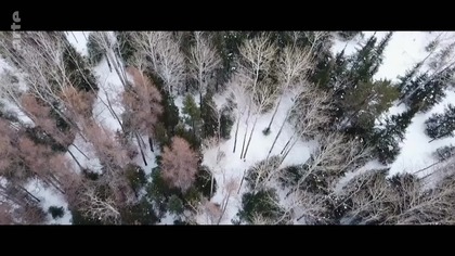 Zabić w dziecku Indianina.  Jak Kanada na siłę cywilizowała rdzenne dzieci