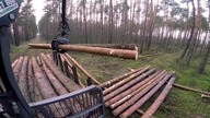 Ostatni film || Rozładunek kłody || Okiem ZULa