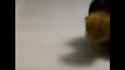 Szkoła Kickboxerów.  VID-1697222076252