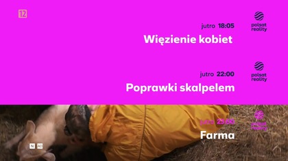 Polsat Reality - Rozpoczęcie przerwy technicznej (noc 20/21. 11. 2025)