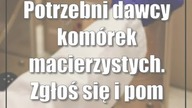 Potrzebni dawcy komórek macierzystych.  Zgłoś się i pomóż chorym