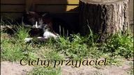 Cichy przyjaciel
