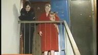 Szyba wybita, drzewo ścięte i pół wiochy bez prądu! Tak się ratuje kota po rosyjsku!