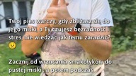 Jak nauczyć psa pozytywnego podejścia do Twojej obecności?  
#Pies #PsyZachowanie #PiesWarchal