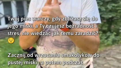 Jak nauczyć psa pozytywnego podejścia do Twojej obecności?  
#Pies #PsyZachowanie #PiesWarchal