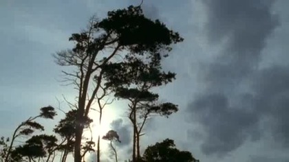 David Copperfield 1999 lektor pl cz.  1