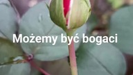 Zgadzasz się z tym?