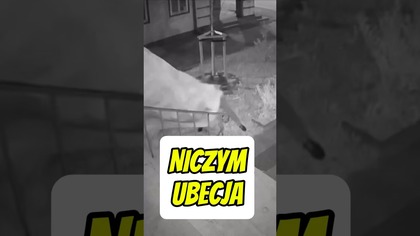NICZYM UBECJA! Zdewastowali elewację mojego biura poselskiego niszcząc baner Karola Nawrockiego!