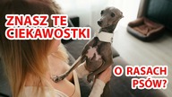 TOP10 ciekawostek o różnych rasach psów - oglądnij zanim przygarniesz psa!