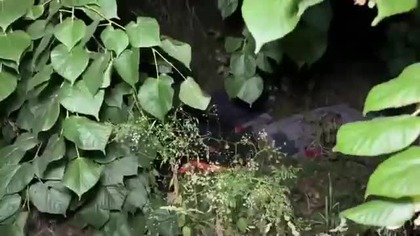 Społeczni strażnicy pilnują granicy! Niemcy podrzucają Polsce migrantów nocą