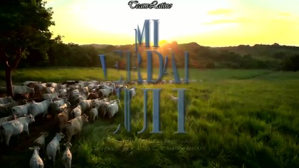 Mi verdad oculta 012 NAPISY PL