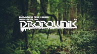 Bassjackers feat.  Luciana - Fireflies (Re Cue Edit)