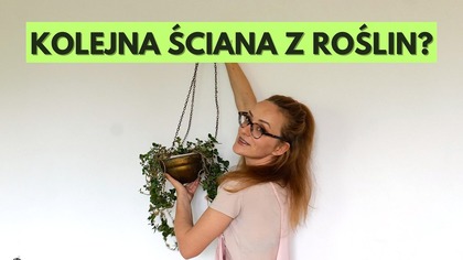 Jak zamieniam PUSTY pokój w ZIELONE studio!