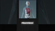 Co gdyby UGRYZŁO CIĘ MILION KOMARÓW? #shorts #viral #ciekawostki