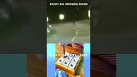 DUCH NA ŚRODKU DROGI!