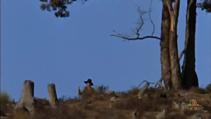 Ned Kelly 1970 lektor pl