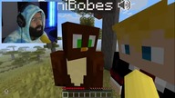 Doni bobes